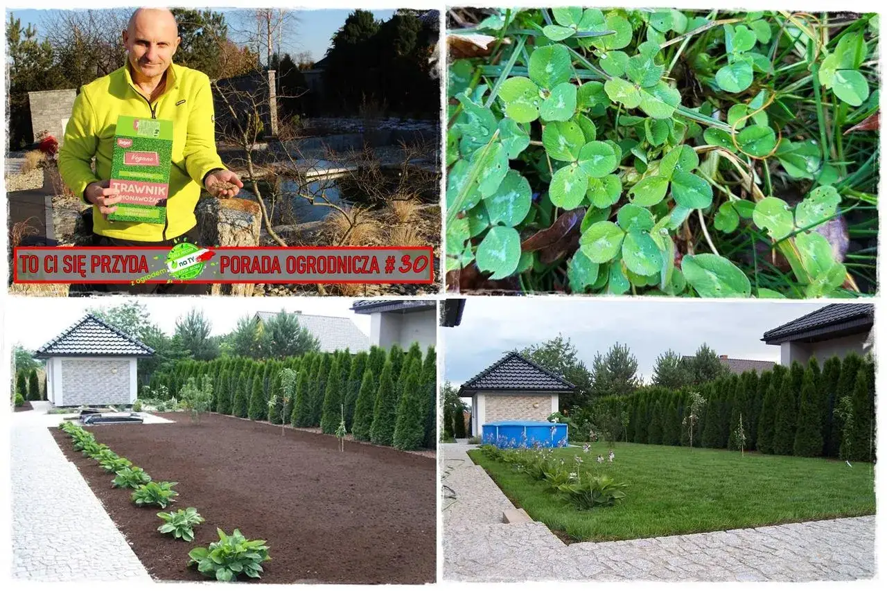 Ogród po zastosowaniu nawozu **Plonvit Kali**. Widać efekt pięknego, zielonego trawnika i bujnej roślinności.