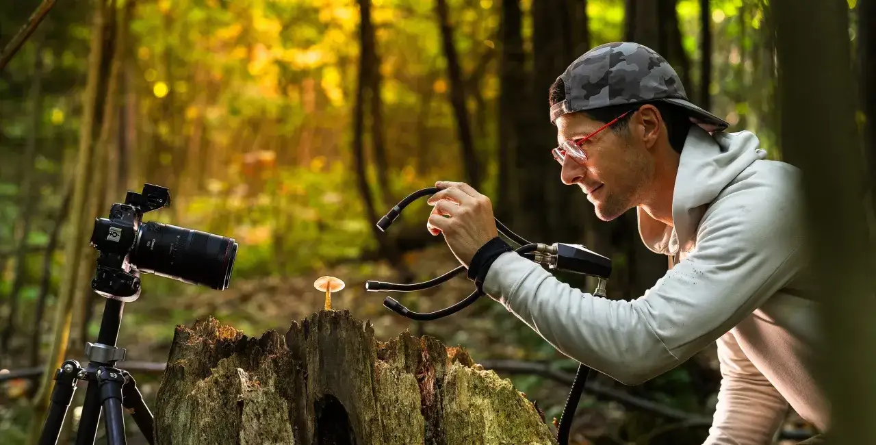 Fotograf w okularach i czapce z kamuflażem ustawia światła do makro fotografii małego grzyba na pniu.