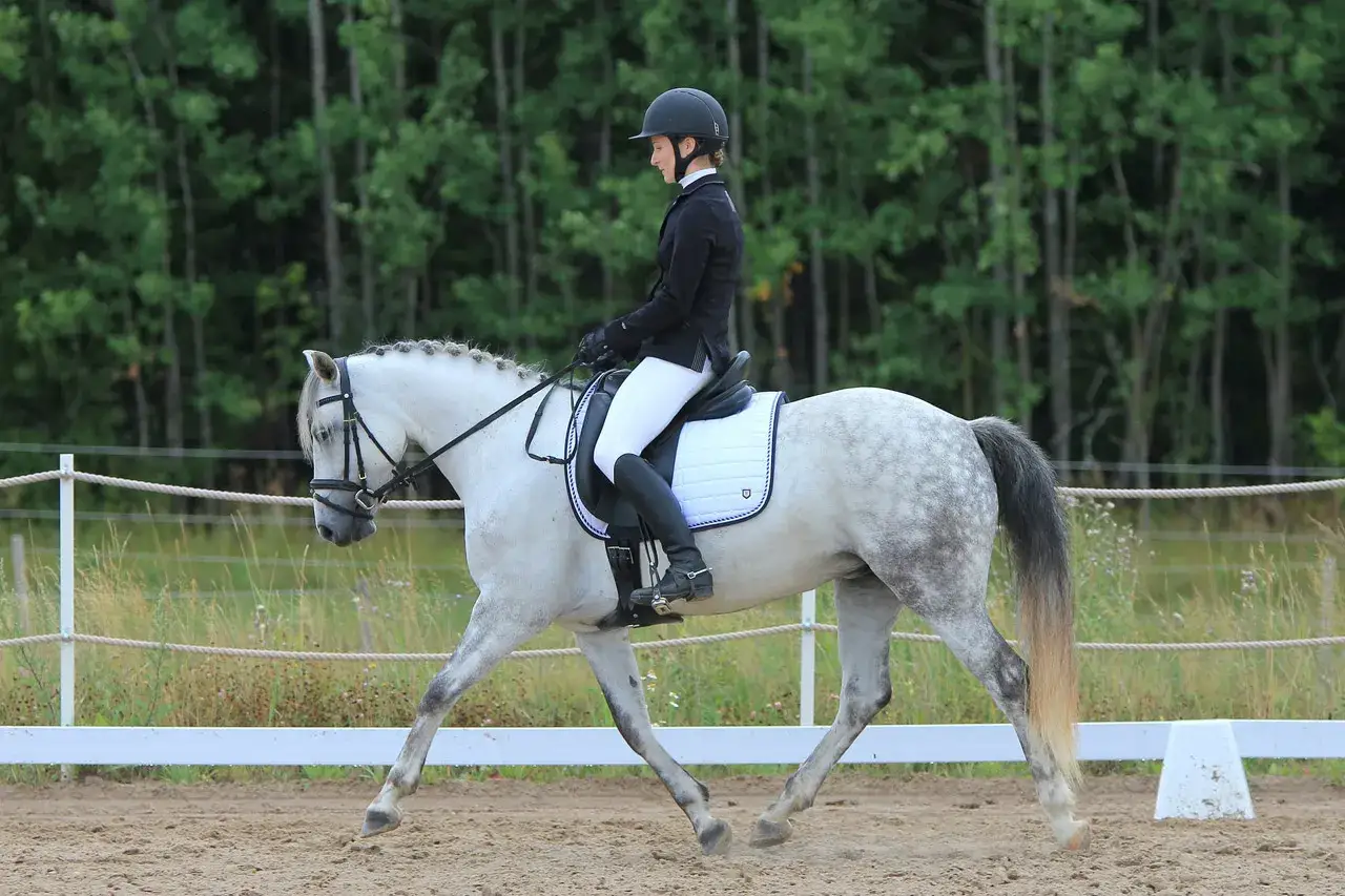 Cavalière en tenue d'équitation, sur un cheval gris, en plein mouvement. La rectitude de leur posture témoigne d'une parfaite harmonie.