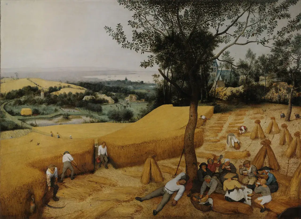 Pieter Bruegel Starszy Żniwa