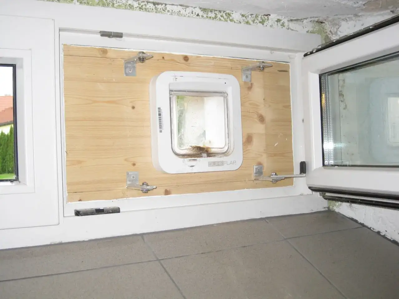 Einbau einer Katzenklappe in eine Holzwand neben einem Fenster. Die Klappe ist mit Metallwinkeln befestigt.