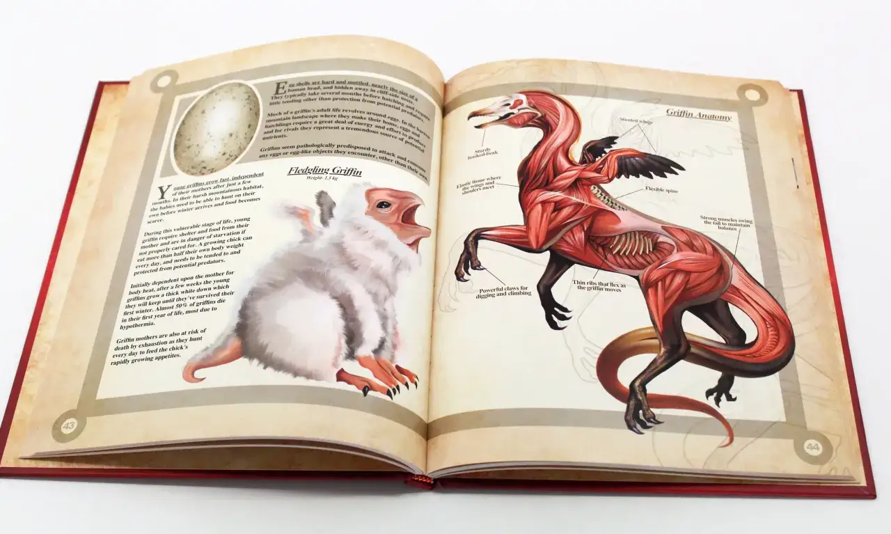 Otwarta księga z ilustracjami fantastycznych stworzeń. Po lewej młody, puszysty gryf, po prawej jego anatomia. To jest właśnie **fantasy co to** jest!