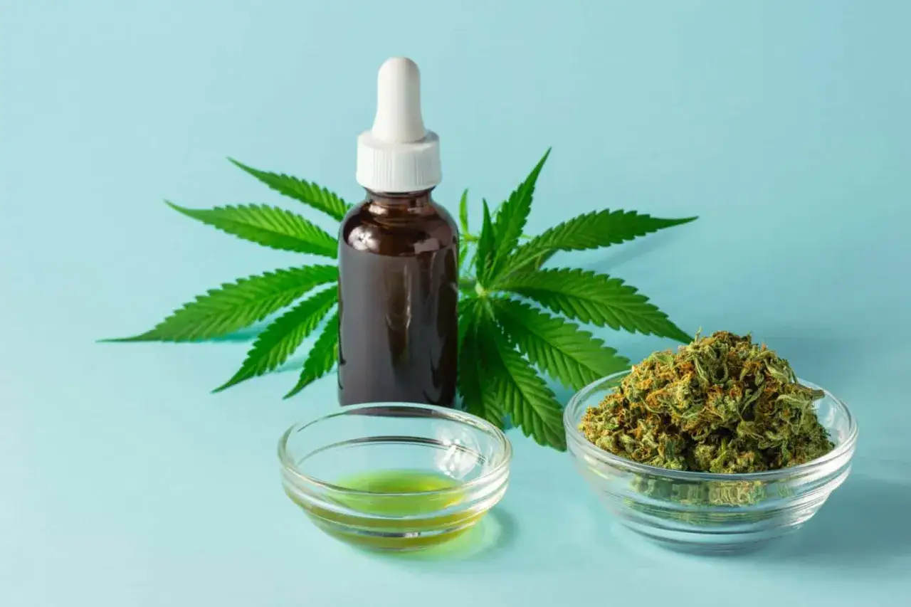 Ein Fl&auml;schchen mit Pipette, eine Schale mit CBD-&Ouml;l, eine Schale mit Hanfbl&uuml;ten und ein Hanfblatt &ndash; so sieht aus, was ist cannabidiol.