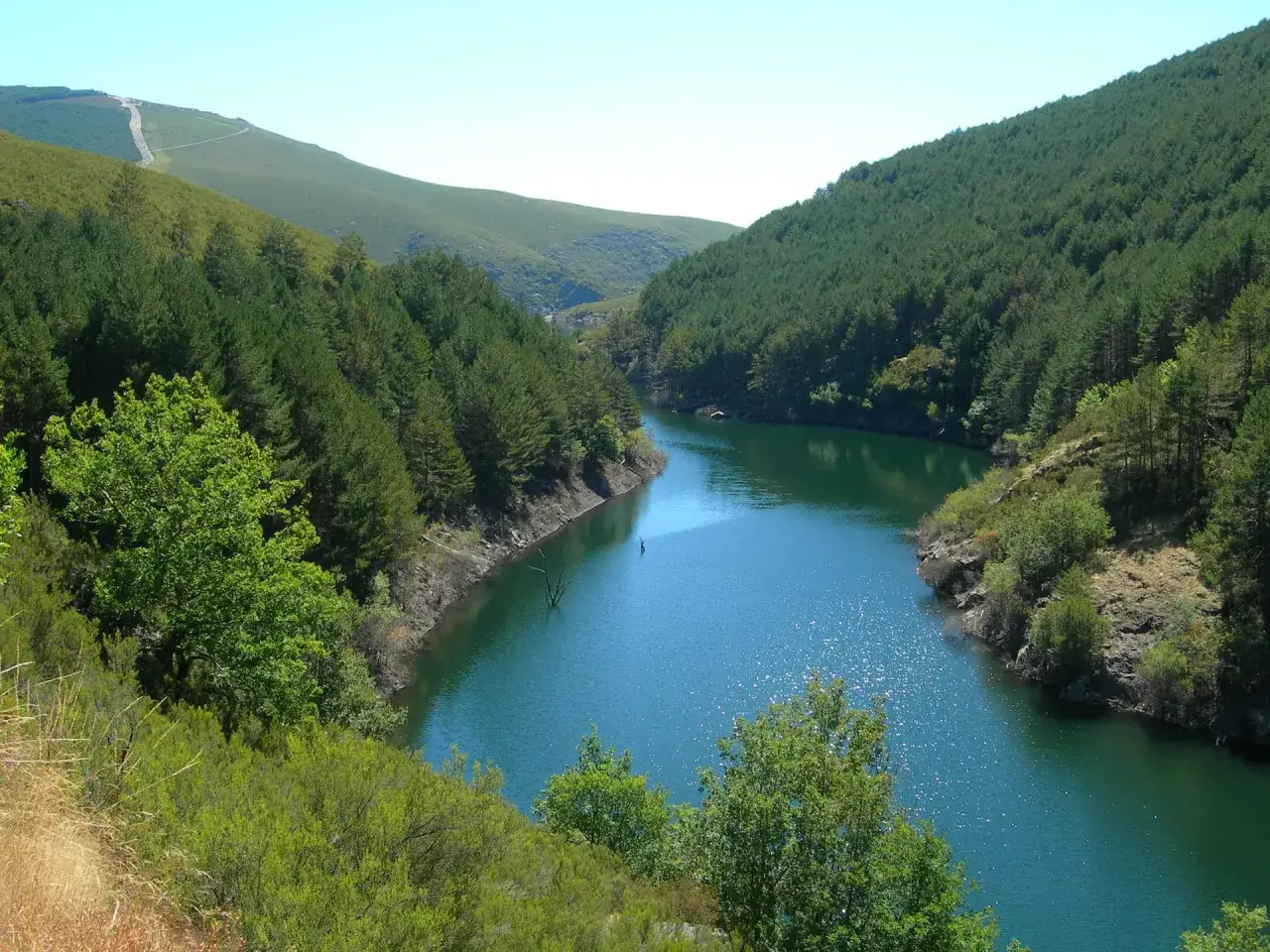 Embalse de manzaneda galicia, rodeado de pinos y colinas verdes bajo un cielo azul.