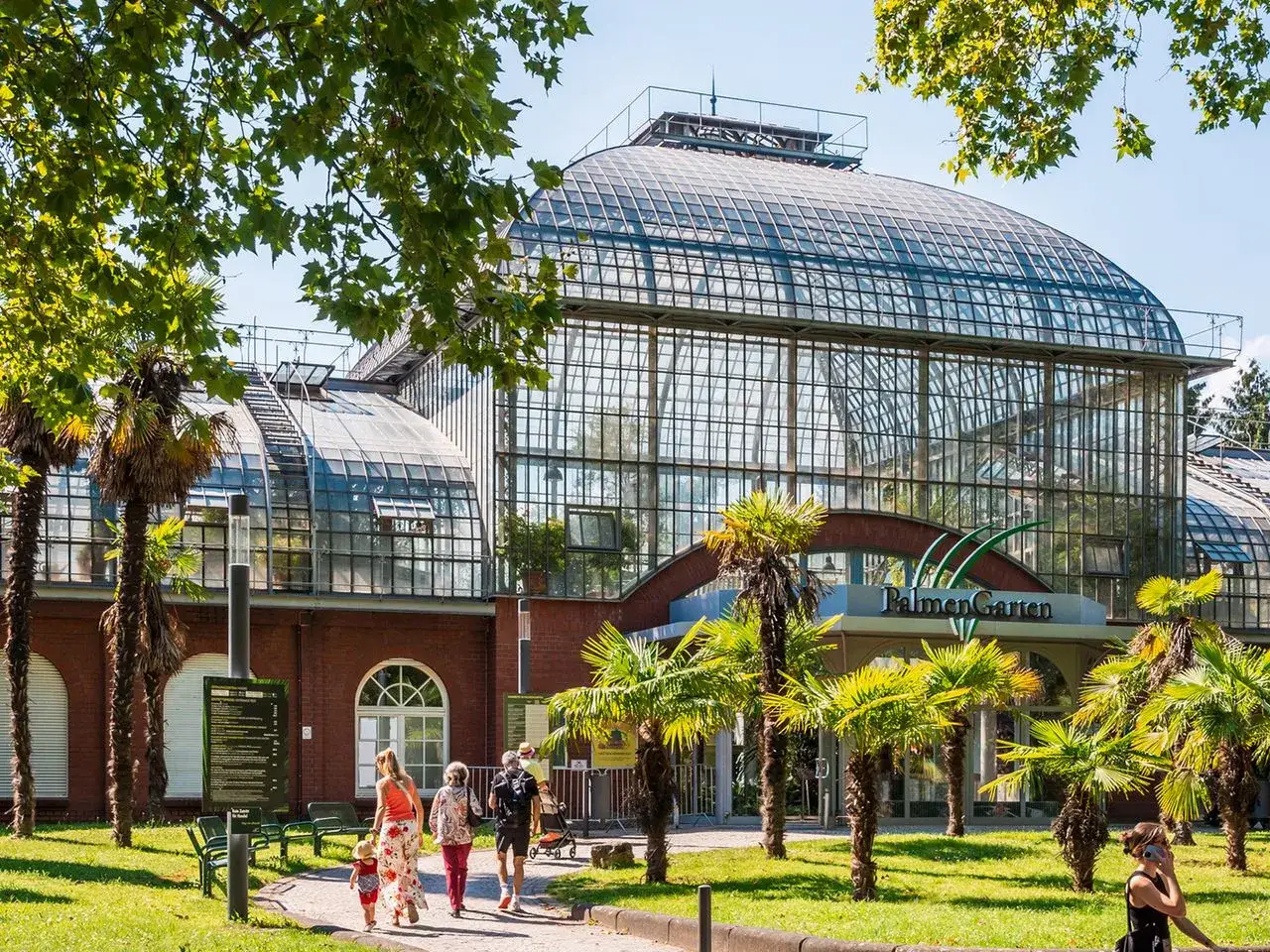 Familie spaziert im PalmenGarten, eine tolle Idee, was man in Frankfurt machen kann. Palmen und Gewächshaus im Sommer.