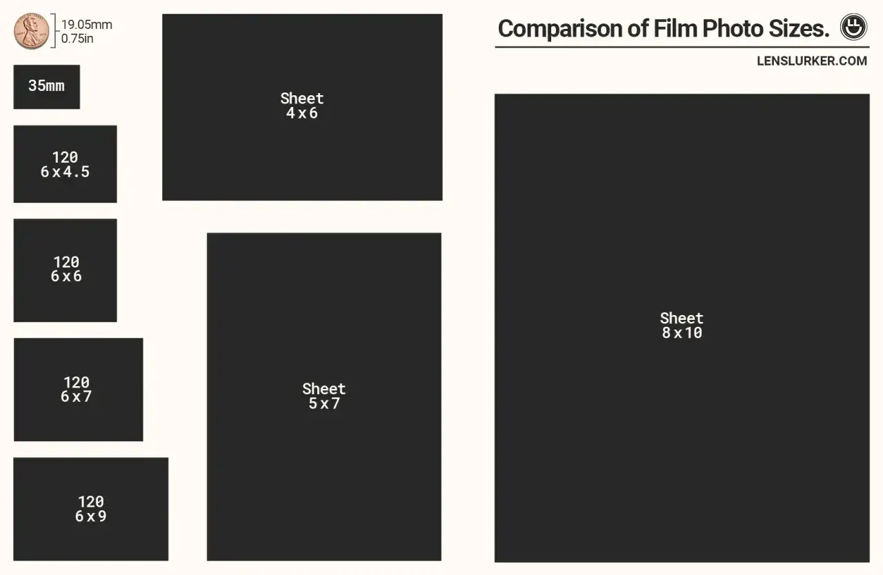 Jämförelse av filmformat. Visar 35mm, 120 (6x4.5, 6x6, 6x7, 6x9) och ark (4x6, 5x7, 8x10).
