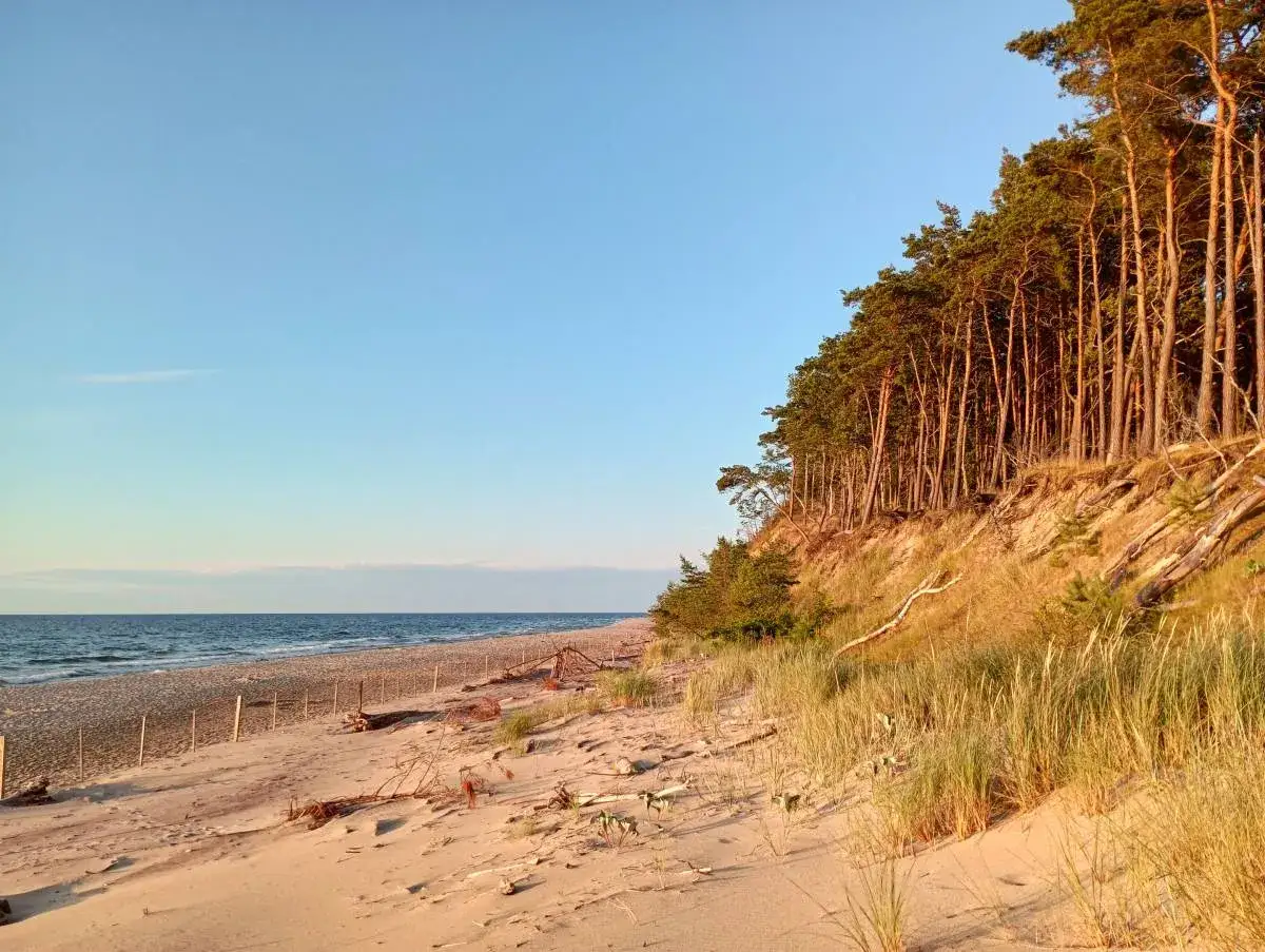 Plaża w Wiśle, z piaszczystym wybrzeżem, morzem i sosnowym lasem na wydmach.
