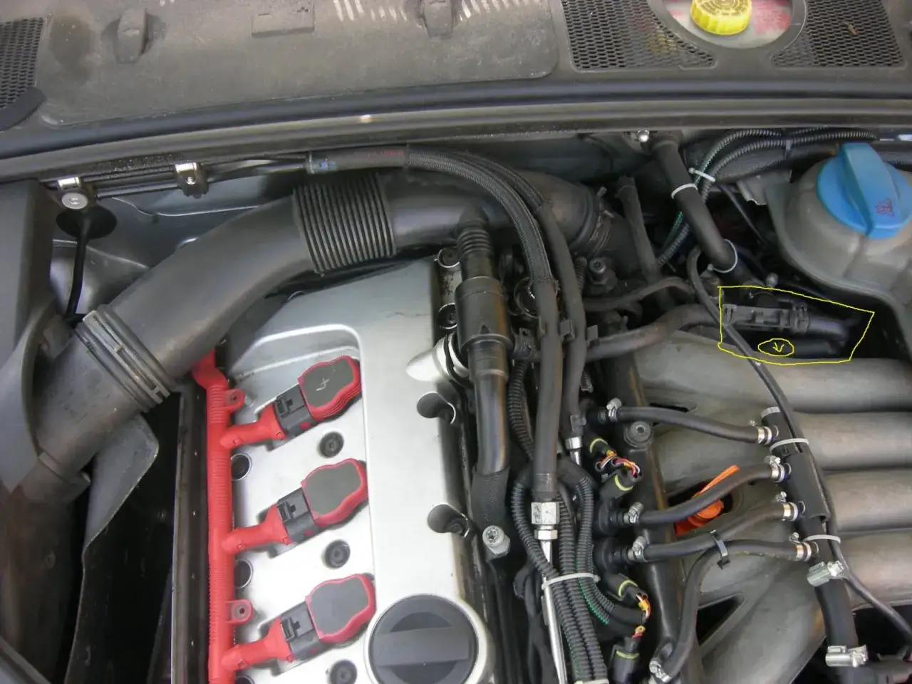 Silnik Audi A4 B6 2.0 ALT z widocznymi cewkami zapłonowymi, kolektorem dolotowym i zaznaczonym czujnikiem.
