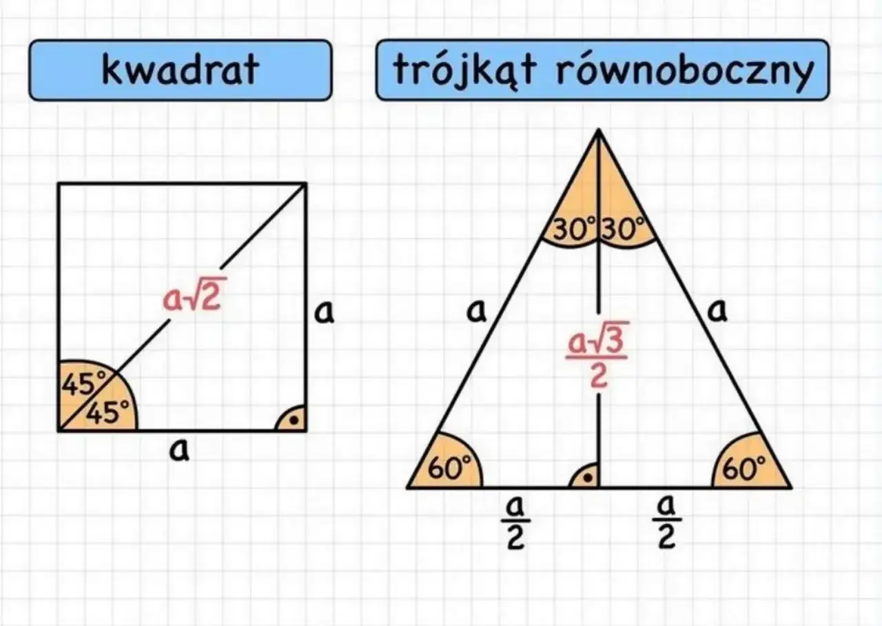 tr&oacute;jkąt r&oacute;wnoboczny wysokość wz&oacute;r