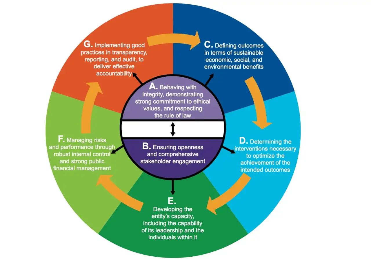 Diagram shows a cyclical process for good governance, highlighting that the entity's leadership is responsible for the leadership process, including ethical behavior, stakeholder engagement, and capacity development.
