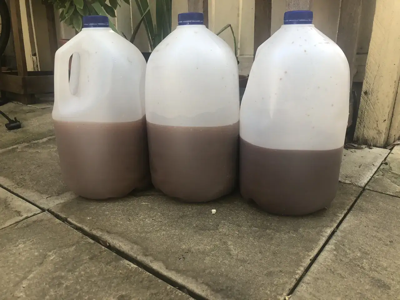 Trois grandes bouteilles en plastique remplies de liquide de refroidissement marron, posées sur des dalles de béton.