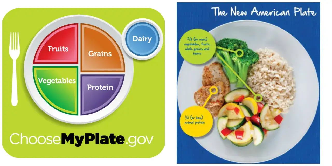 Guía visual del plato saludable para niños, mostrando porciones de frutas, verduras, granos y proteínas.