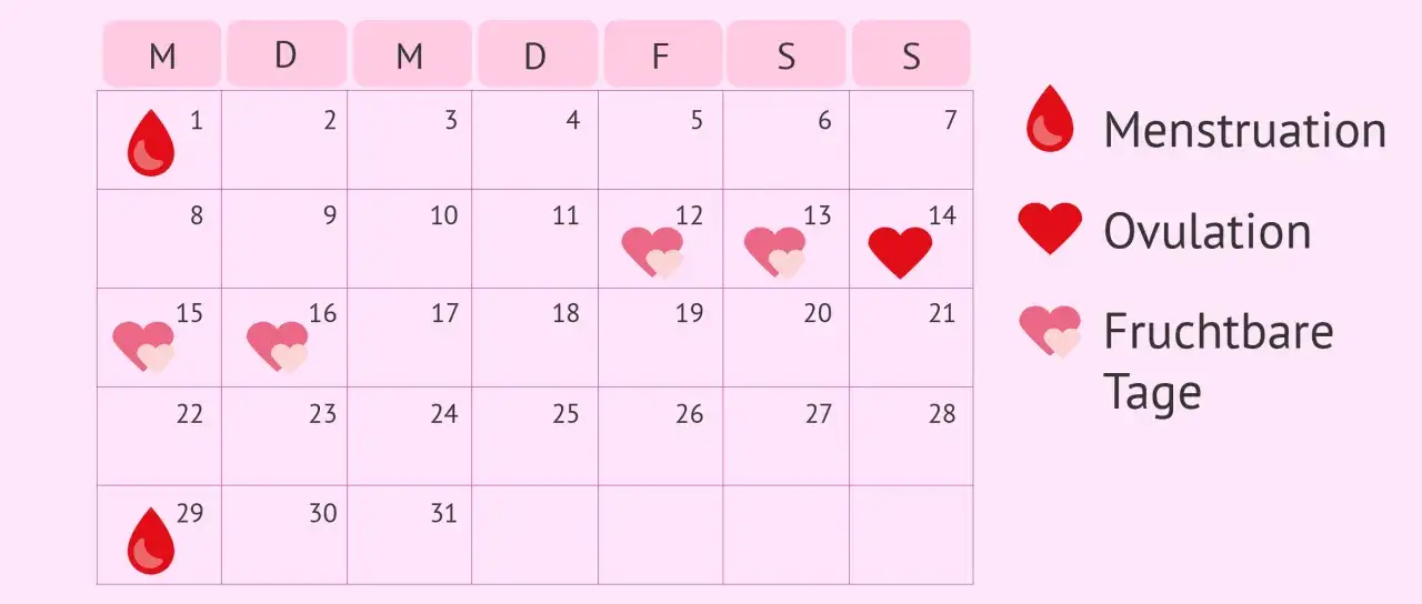 Kalender zeigt Menstruation (Tropfen), was ist der Eisprung (rotes Herz) am 14. und fruchtbare Tage (Herzen).