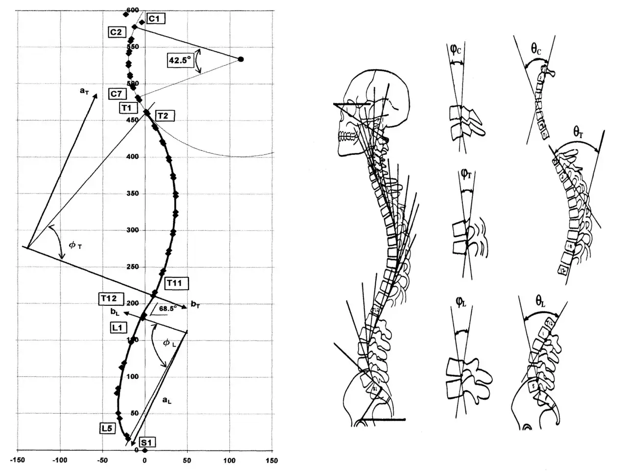Analisi della schiena inarcata con grafici e schemi che illustrano angoli e vertebre.