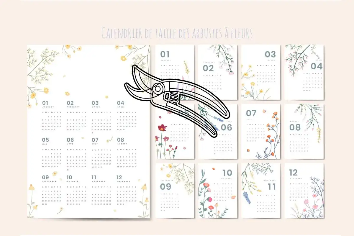 Calendrier pour savoir quand tailler les arbustes &agrave; fleurs, avec des illustrations florales et un s&eacute;cateur.