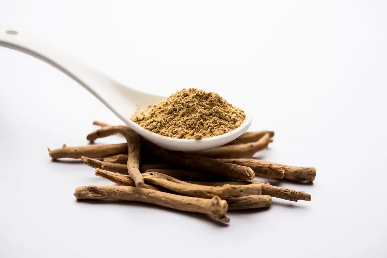 Korzeń ashwagandhy i proszek na łyżce. Dyskusje o ashwagandha skutki uboczne forum często poruszają temat naturalnych suplementów.