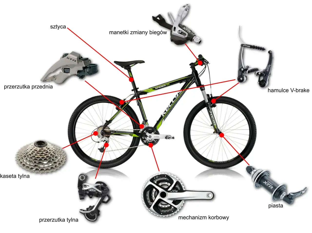 Schemat roweru z zaznaczonymi częściami: przerzutka przednia, przerzutka tylna, kaseta tylna, mechanizm korbowy, piasta, hamulce V-brake, manetki zmiany biegów, sztyca.