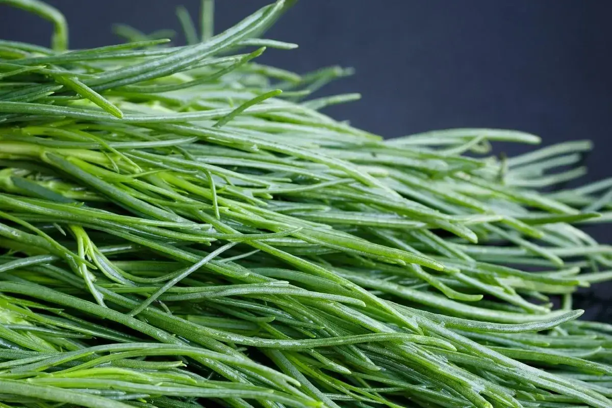 Un fascio di agretti freschi, pronti per essere cucinati. La loro **stagione** &egrave; breve, ma il sapore &egrave; unico.
