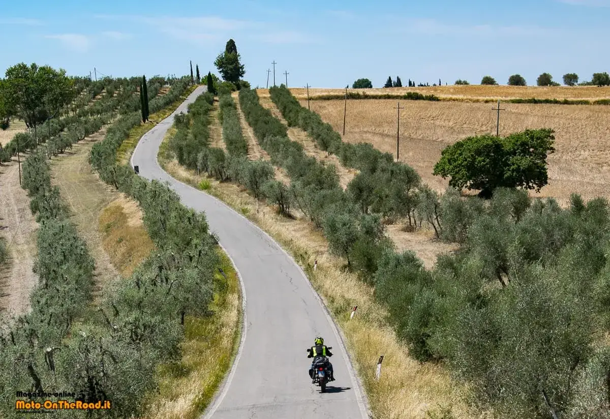 Un motociclista percorre una strada serpeggiante tra gli uliveti delle Crete Senesi, sotto un cielo azzurro.