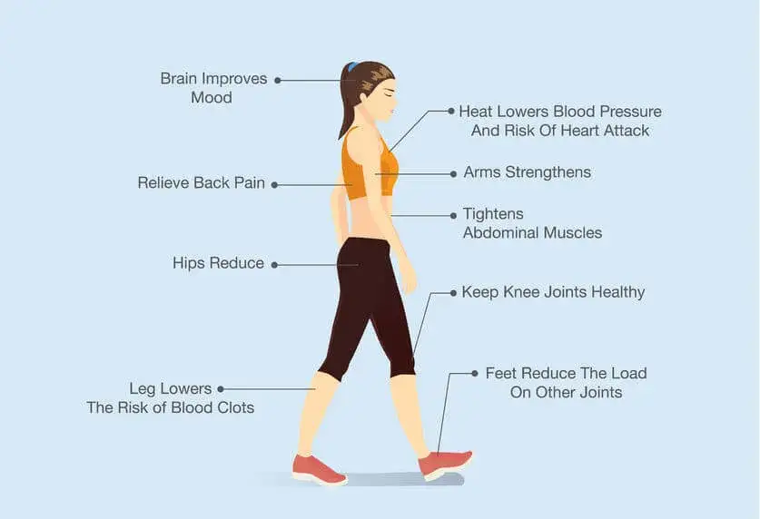 Zdjęcie Czy spacer to cardio? Odkryj, jak efektywnie chodzić dla zdrowia