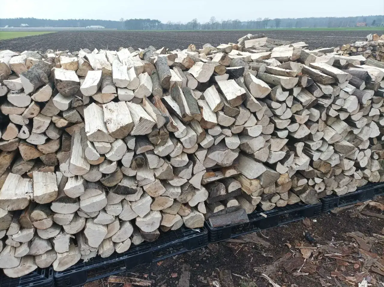 Ogromna sterta drewna, idealny grab do kominka, czeka na zimowe wieczory.