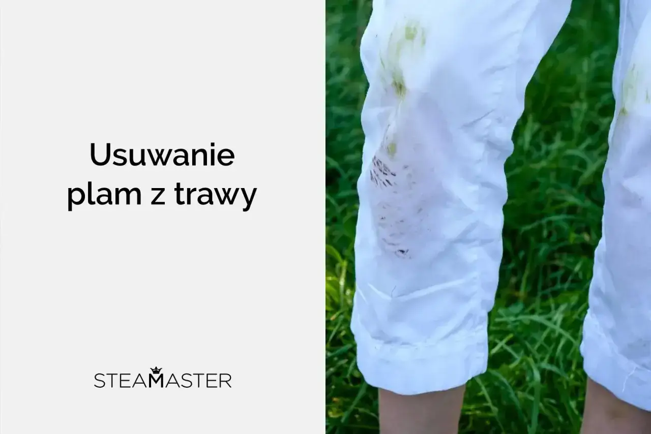 Białe spodnie z zielonymi plamami z trawy, tekst 