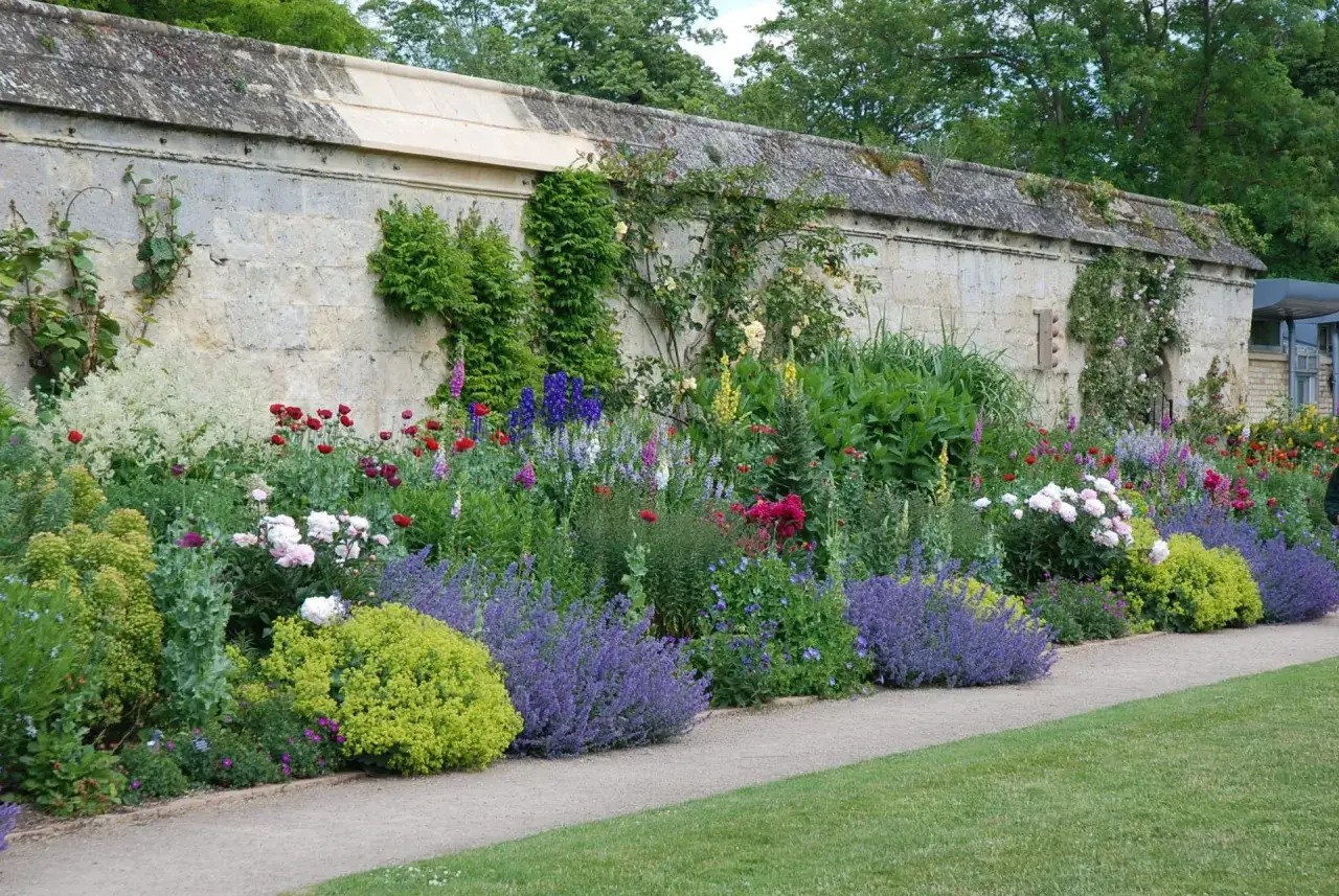 Lavendel beet ideen: Ein &uuml;ppiger Garten entlang einer Steinmauer, mit Lavendel, Rosen und vielen anderen Blumen in voller Bl&uuml;te.