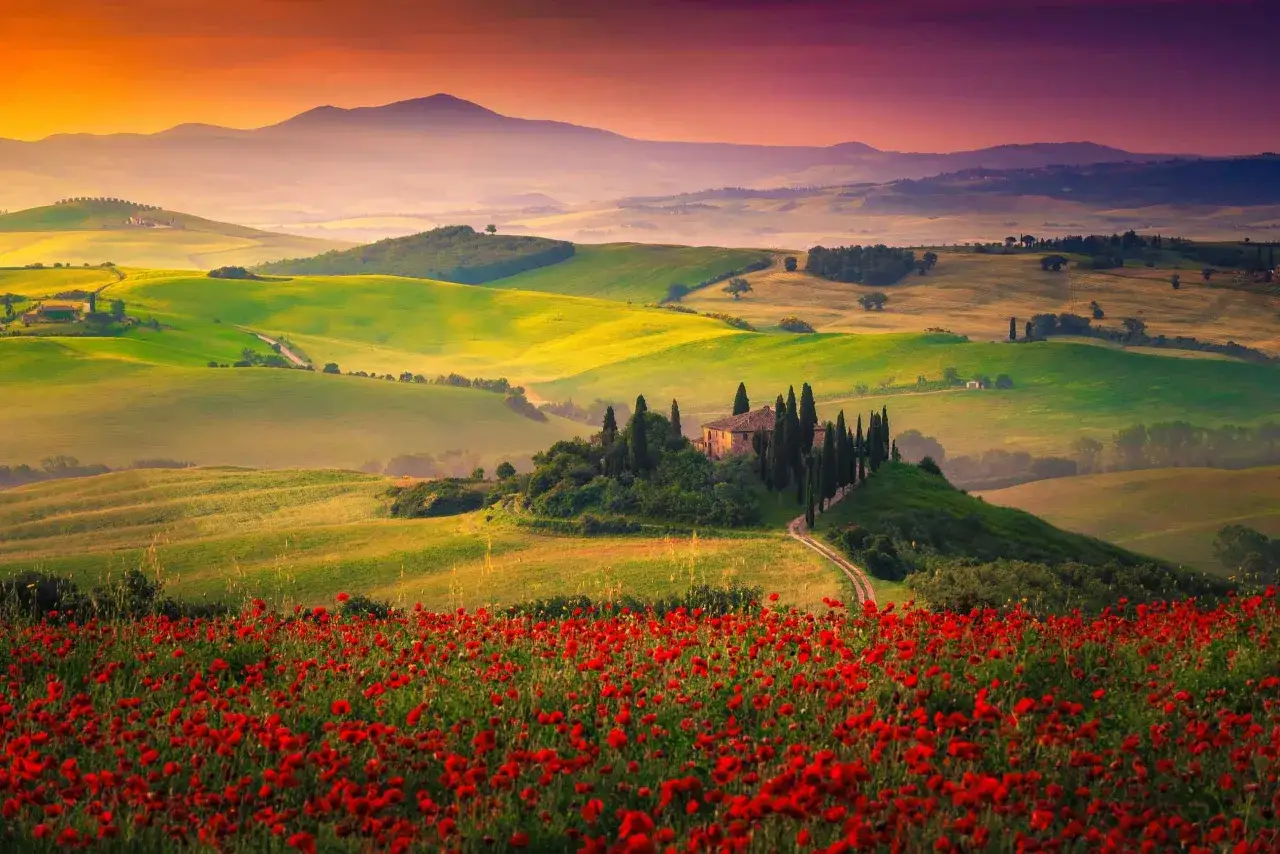 Campagna toscana con campo di papaveri rossi, colline verdi e una casa colonica, un'immagine iconica di Pienza cosa vedere.