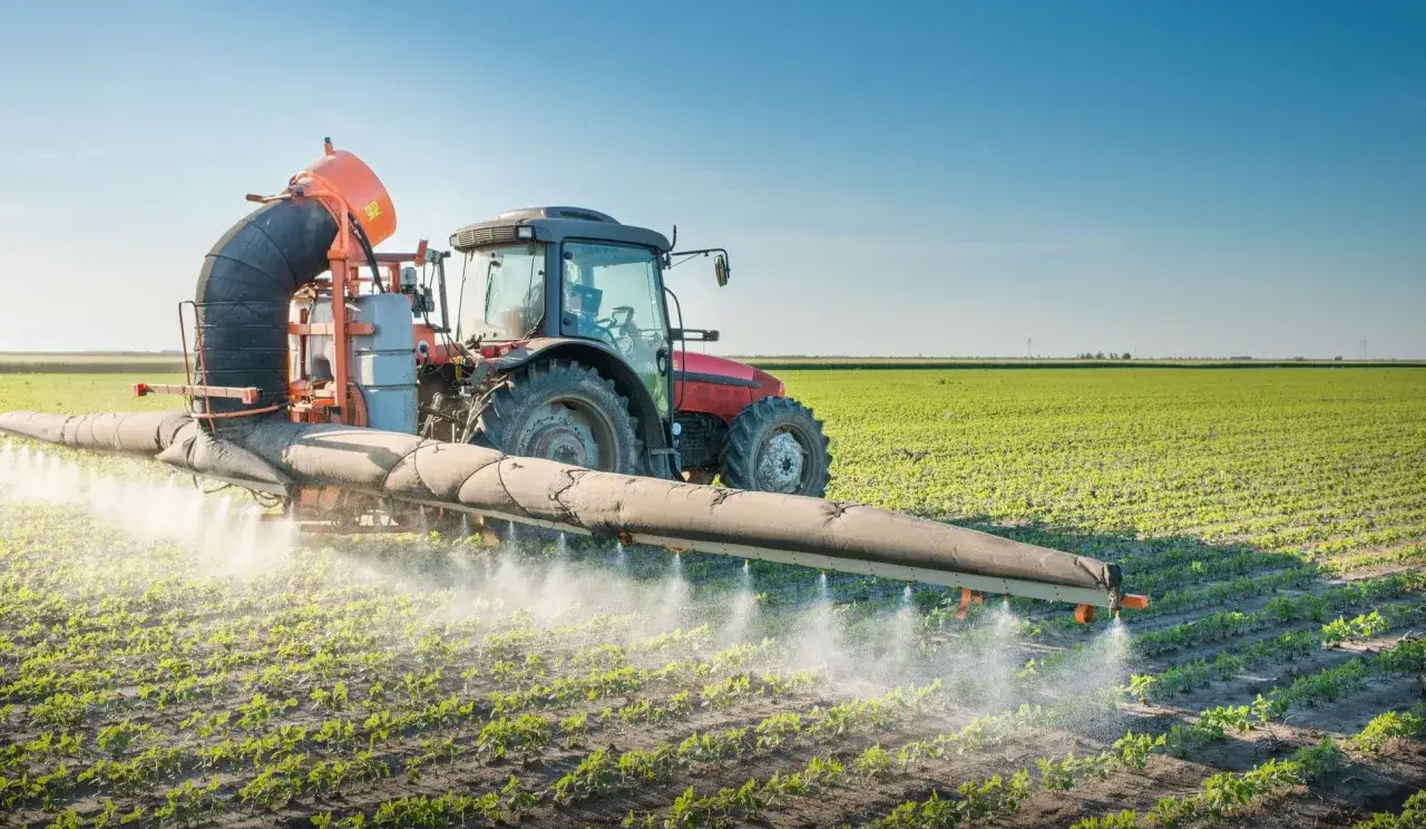 Czerwony traktor opryskuje pole młodymi roślinami, rozprowadzając nawóz, np. saletrę, dla lepszego wzrostu.