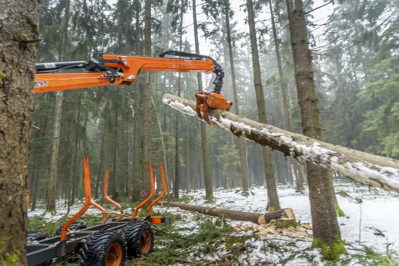 Ein orangefarbener Forstkran in Polen hebt einen Baumstamm im verschneiten Wald.
