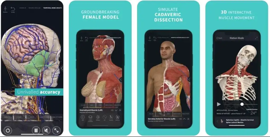 Narzędzia do nauki anatomii książki atlasy aplikacje