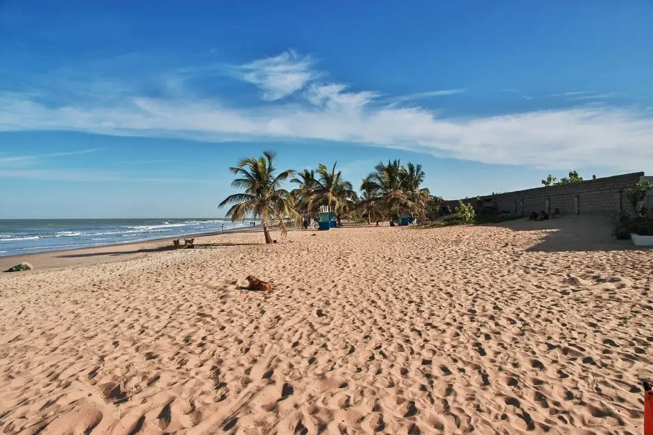 Piękne, piaszczyste plaże Gambii, palmy, ocean i pies wylegujący się w słońcu.