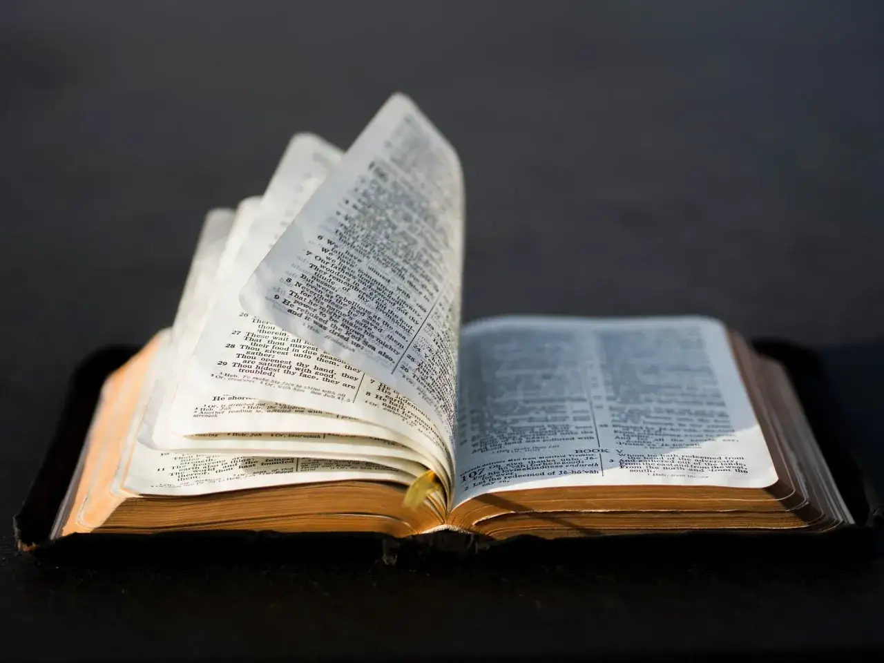 Otwarta Biblia, strony szeleszczą. Wiatr porusza kartkami, jakby czytał psalm 139.