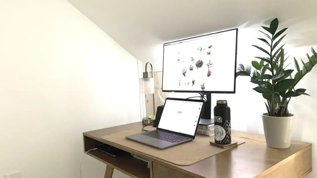 A clean desk setup with a laptop, monitor, and plant creates a zen to done atmosphere for productivity.