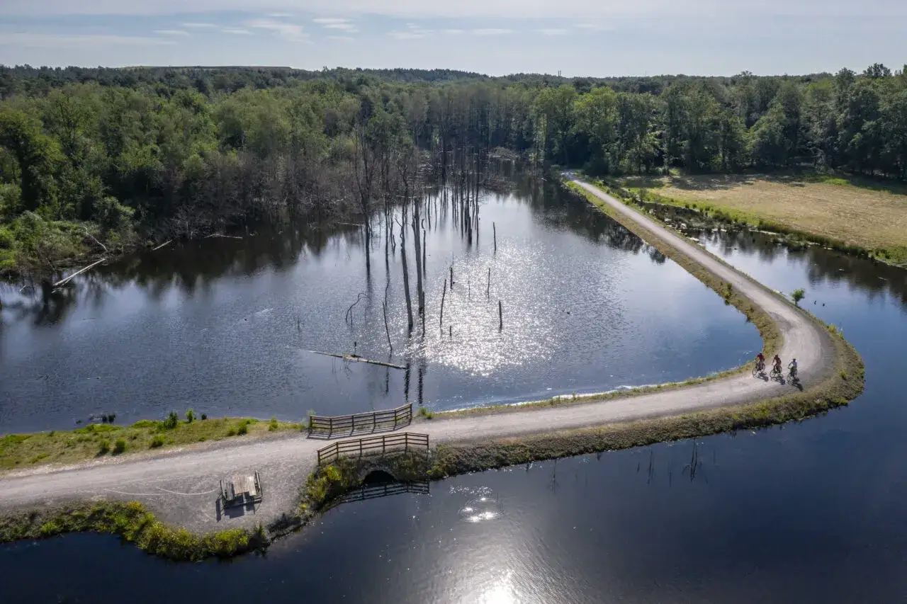 Radfahrer genießen die Aussicht am Pfingstsee Bottrop, umgeben von Bäumen und Wasser.