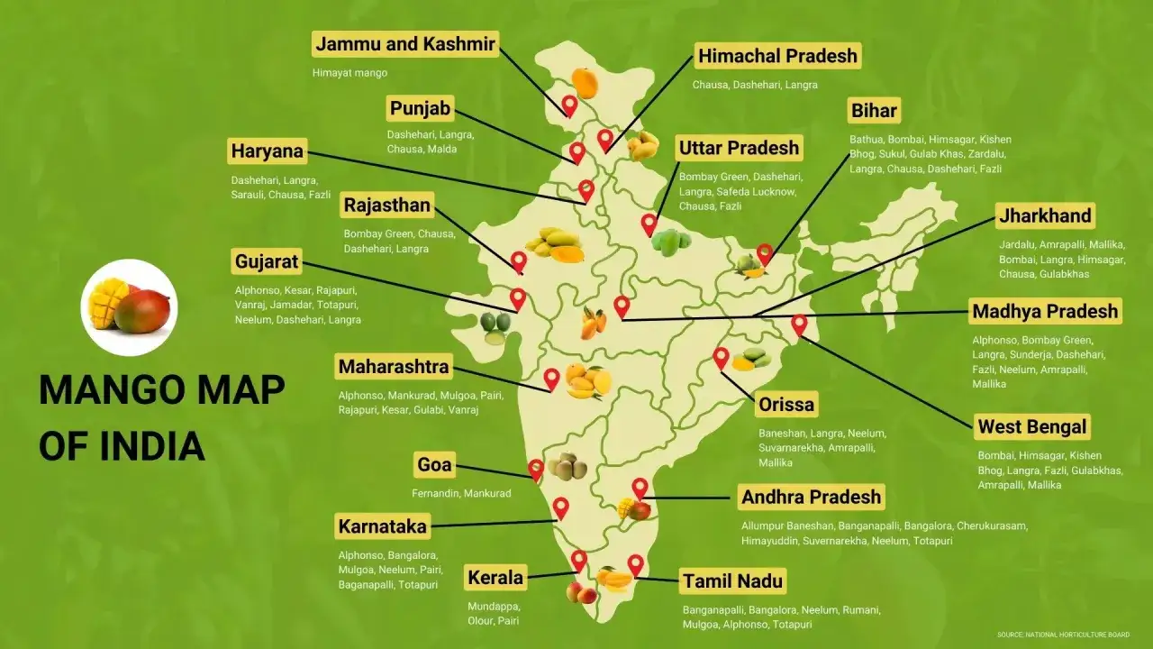 Mapa Indii pokazuje, gdzie rośnie mango: od Himalajów po południe kraju, z odmianami jak Alphonso i Kesar.