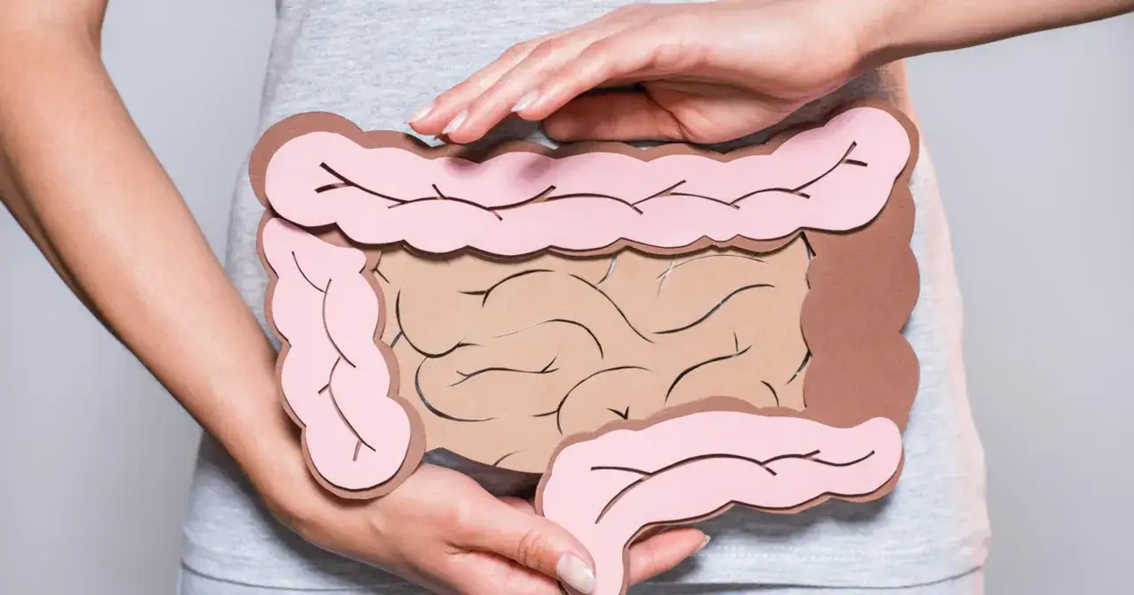 Dłonie obejmują model jelit, symbolizujący problemy trawienne, takie jak śluz w kale.
