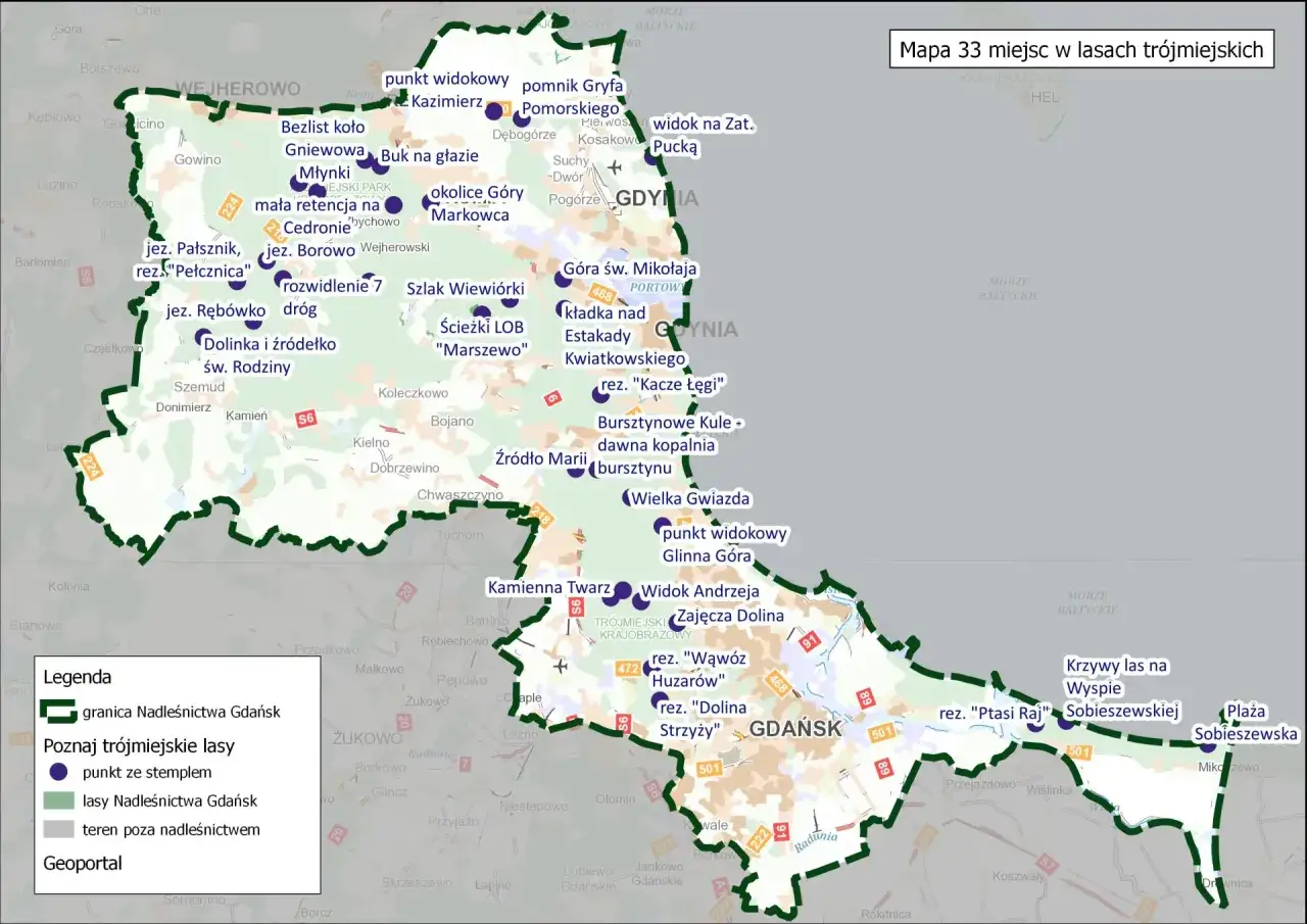 Mapa 33 miejsc w lasach trójmiejskich. Odkryj punkty widokowe, rezerwaty i ciekawe miejsca w okolicach Trójmiasta.