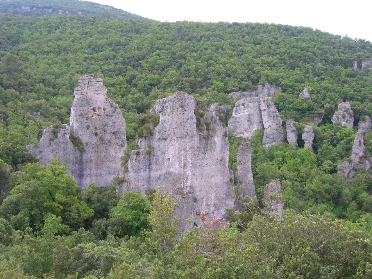 Les Aiguilles de Valbelle, formations rocheuses spectaculaires, émergent d'une forêt verdoyante sous un ciel clair.