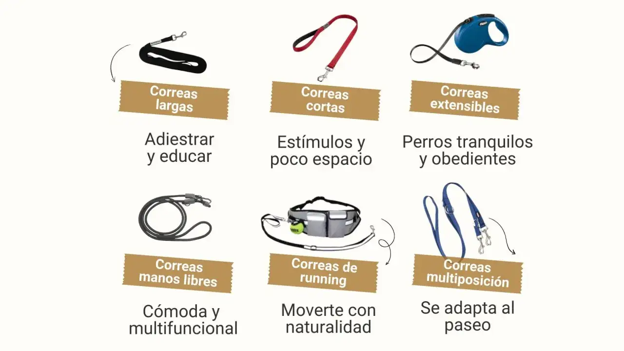 Explora los diferentes tipos de correas para perros: largas para adiestrar, cortas para control, extensibles para perros tranquilos, manos libres, de running y multiposición.