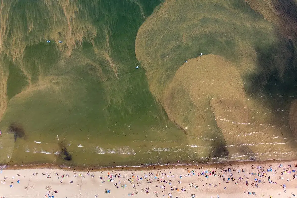 Widok z lotu ptaka na plażę i morze. Woda jest mętna, z widocznymi prądami i osadami, co rodzi pytanie: czy Bałtyk jest czysty? Kilka osób pływa na desce.