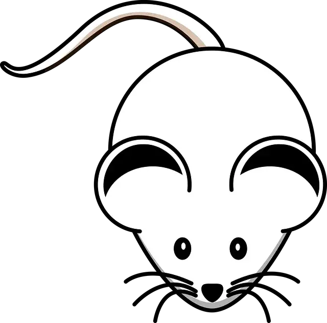 Cartoon Maus Augen Schnurrhaare zeichnen