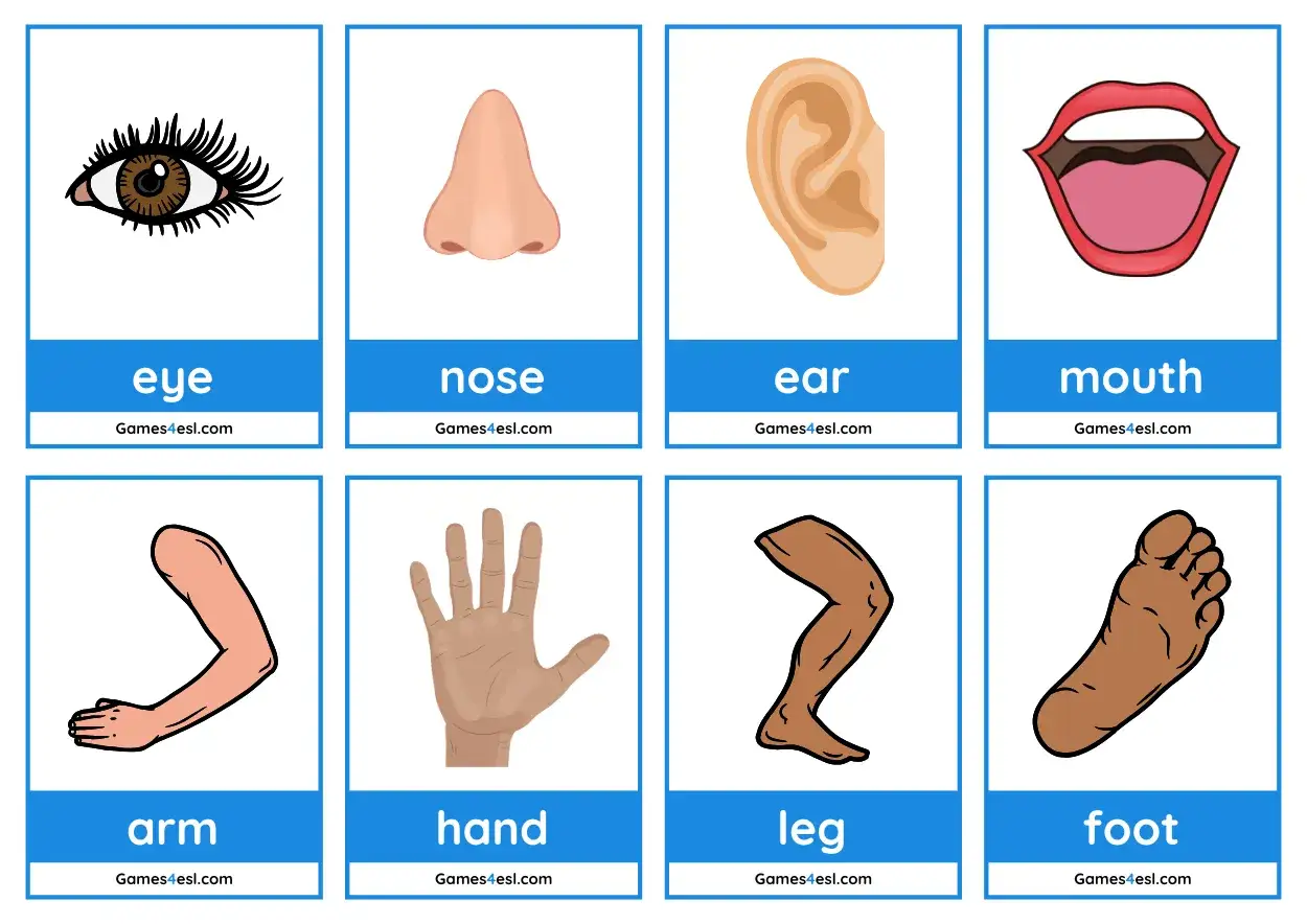 Tarjetas con partes del cuerpo en inglés para niños: ojo, nariz, oreja, boca, brazo, mano, pierna, pie.