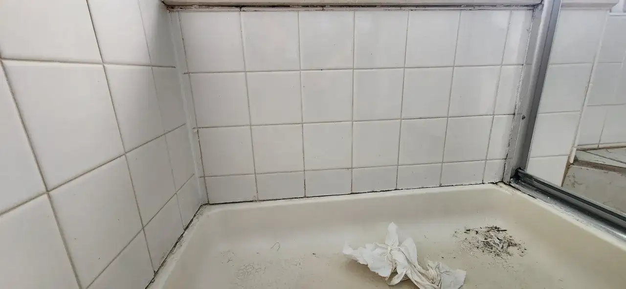 Grzyb na fugach pod prysznicem, widoczny na białych kafelkach i w brodziku, świadczy o potrzebie gruntownego sprzątania.