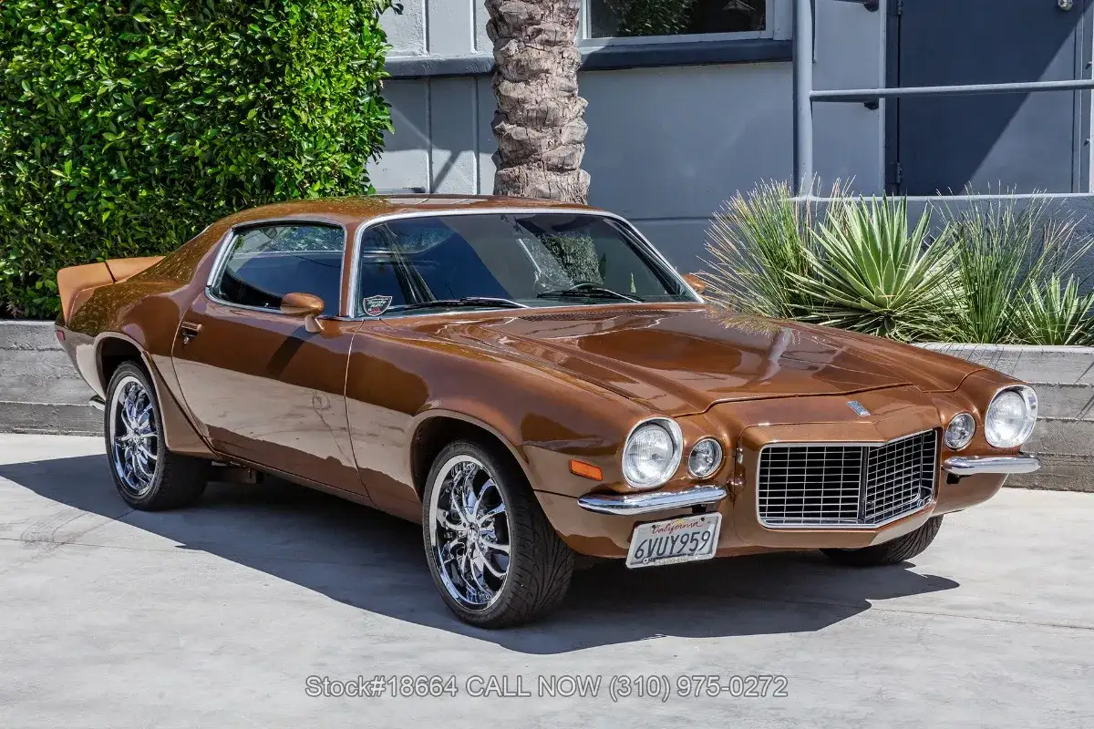 Brun camaro 1970 med kromf&auml;lgar, parkerad framf&ouml;r en gr&ouml;n h&auml;ck och en palm.
