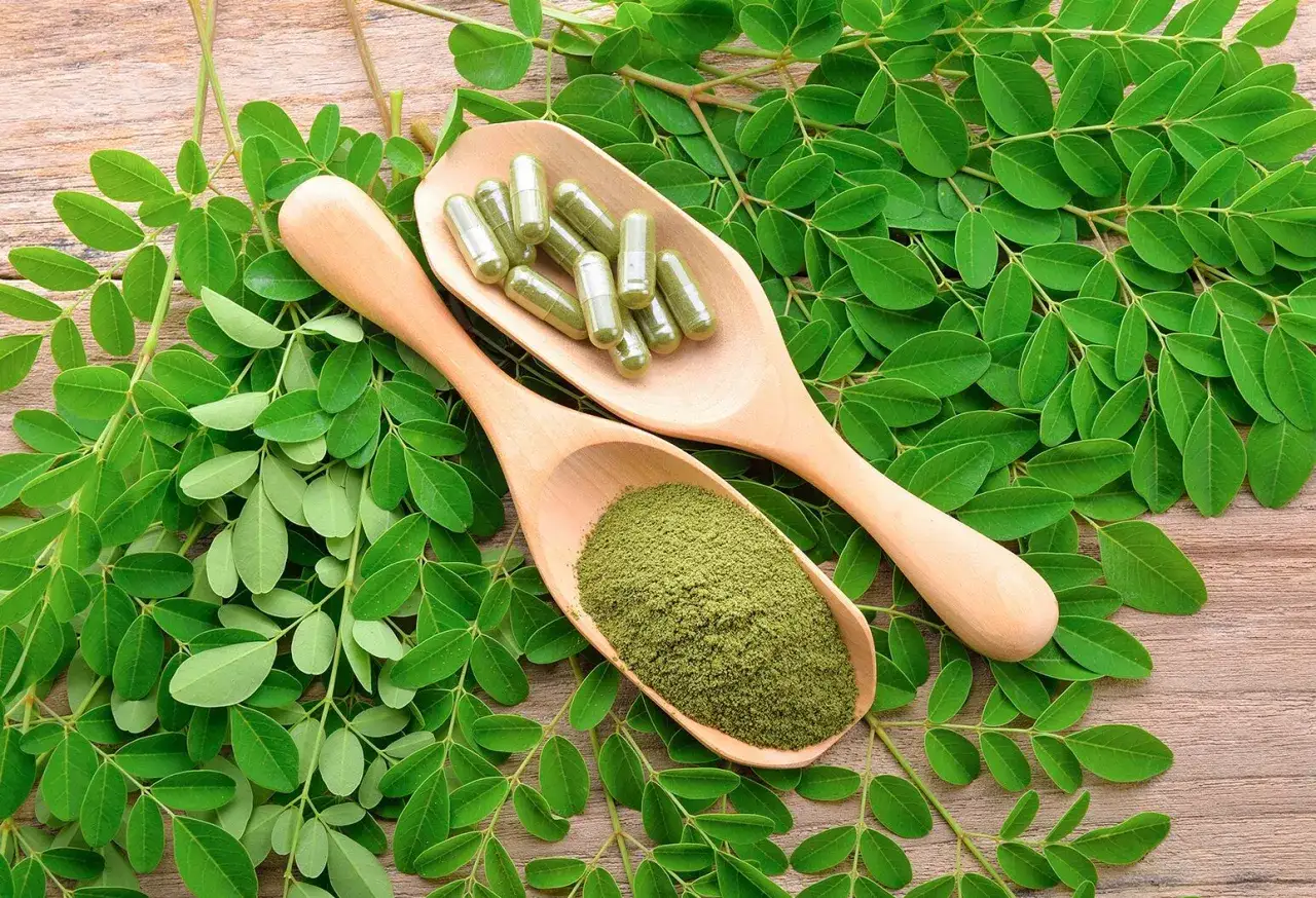 Cucharas de madera con polvo y c&aacute;psulas de moringa, rodeadas de hojas verdes. Descubre los moringa beneficios para la mujer.