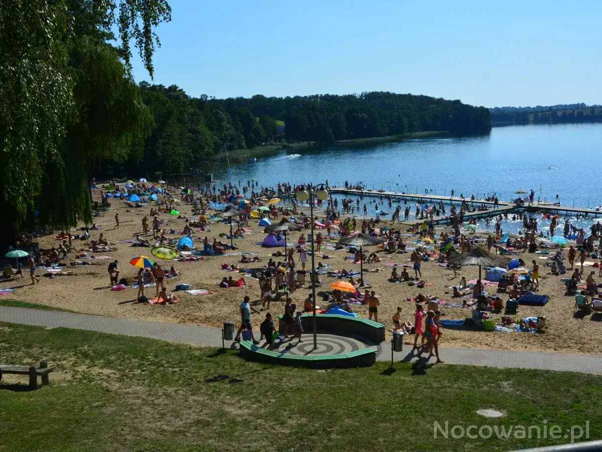 Tłoczna plaża w Sierakowskim Parku Krajobrazowym. Ludzie opalają się, kąpią i odpoczywają nad jeziorem.