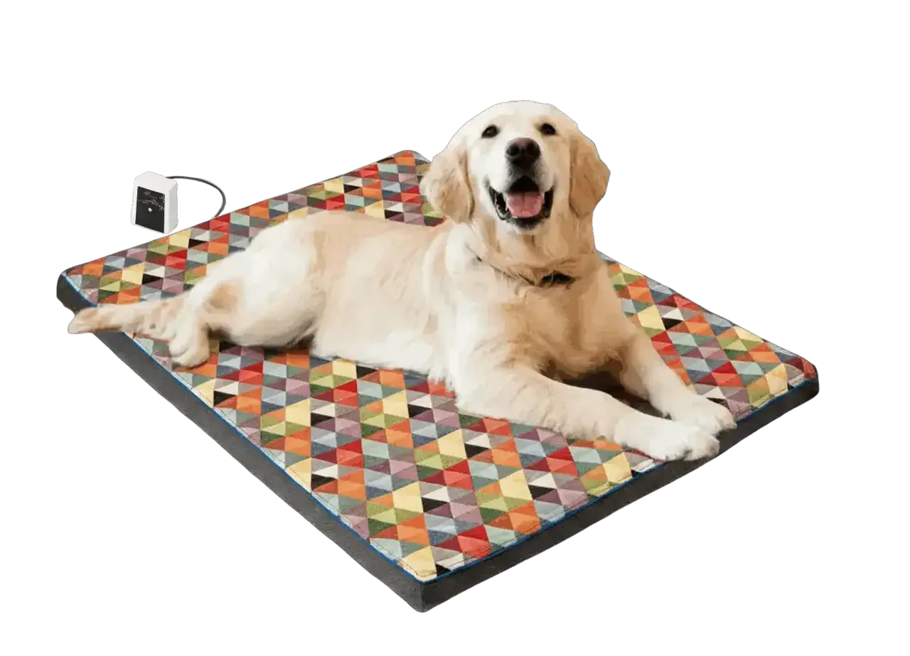 Glad golden retriever vilar p&aring; en f&auml;rgglad hundmatta med v&auml;rmeregulator.