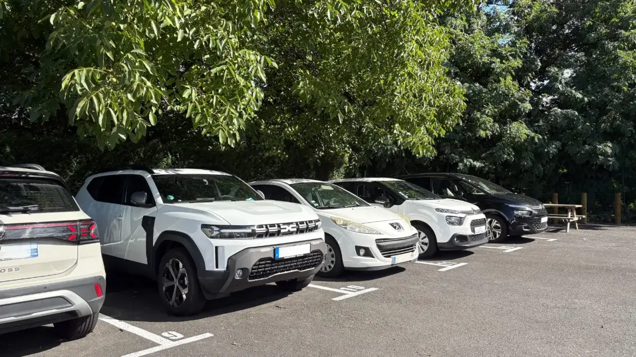 Plusieurs voitures garées sous les arbres. Idéal pour savoir où garer sa voiture plus de 7 jours en toute sécurité.