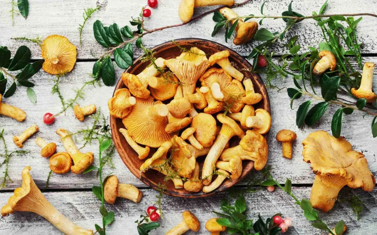 P&acirc;tes aux champignons, une recette italienne simple et savoureuse avec des girolles fra&icirc;ches, des airelles et des feuilles vertes sur fond de bois.